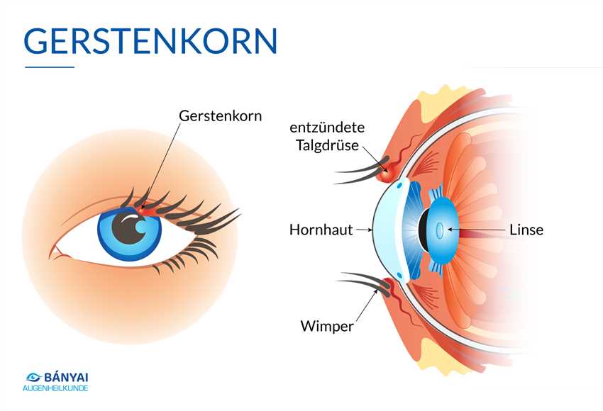 Gute Hygienepraktiken