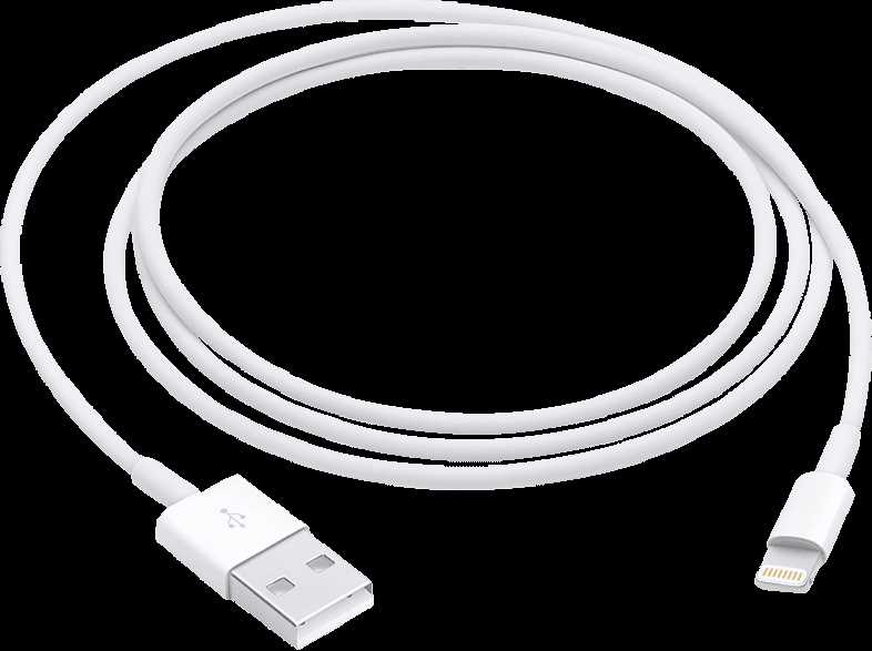 Original Apple Lightning auf USB Kabel