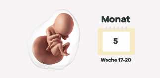 Gesunde Entwicklung des Babys im 4. Monat